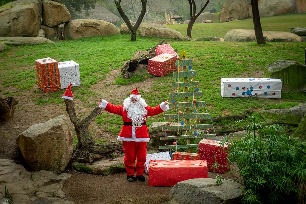 Papá Noel llega al BIOPARC con varios regalos para sus animales