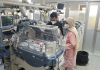 Una madre da a luz a cuatrillizos en un hospital valenciano