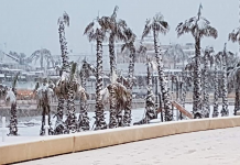 FOTOS | Cinco años de la histórica nevada que tiñó de blanco la costa valenciana