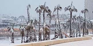 FOTOS | Cinco años de la histórica nevada que tiñó de blanco la costa valenciana