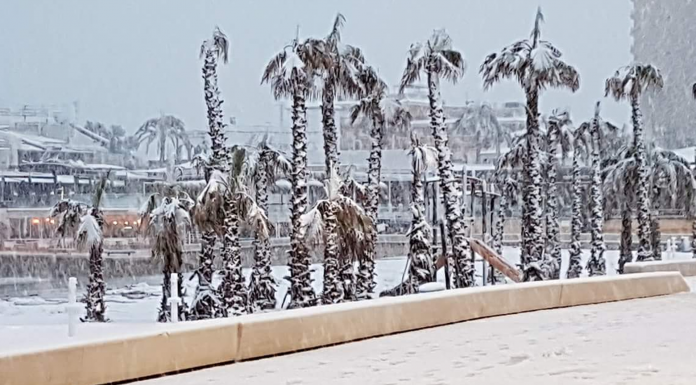 FOTOS | Cinco años de la histórica nevada que tiñó de blanco la costa valenciana