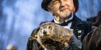 DÍA DE LA MARMOTA | La marmota Phil predice cuánto durará el invierno