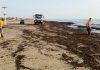 Más de 30 personas ponen a punto las playas para Semana Santa