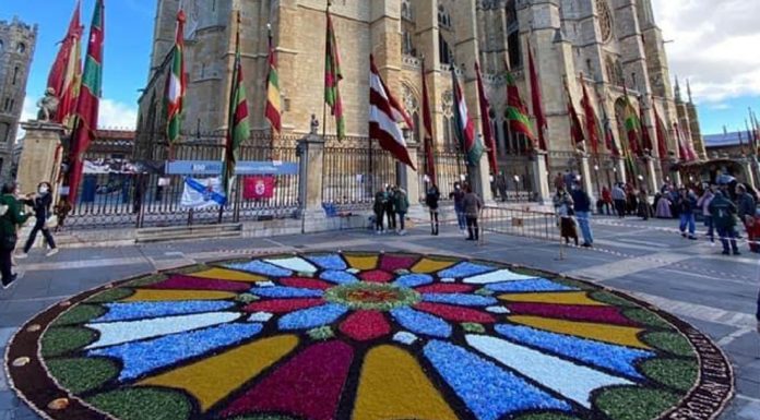 Desvelan los primeros detalles de la alfombra floral gigante que decorará el centro de Valencia