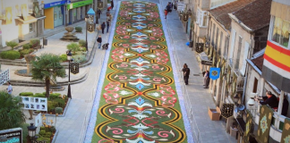 Una alfombra floral gigante decorará la Plaza de la Virgen por primera vez en la historia