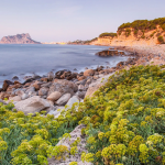 Las cuatro playas valencianas que estrenan Bandera Azul