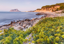 Las cuatro playas valencianas que estrenan Bandera Azul