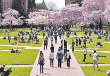 Tarongers se convertirá en un campus universitario más verde de estilo americano Tarongers se convertirá en un campus universitario más verde de estilo americano