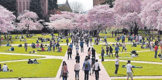 Tarongers se convertirá en un campus universitario más verde de estilo americano