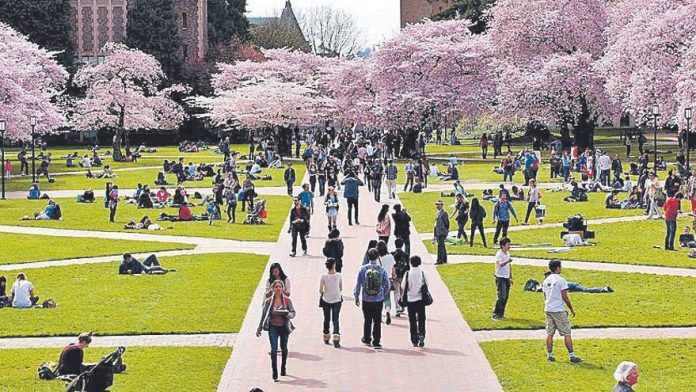 Tarongers se convertirá en un campus universitario más verde de estilo americano