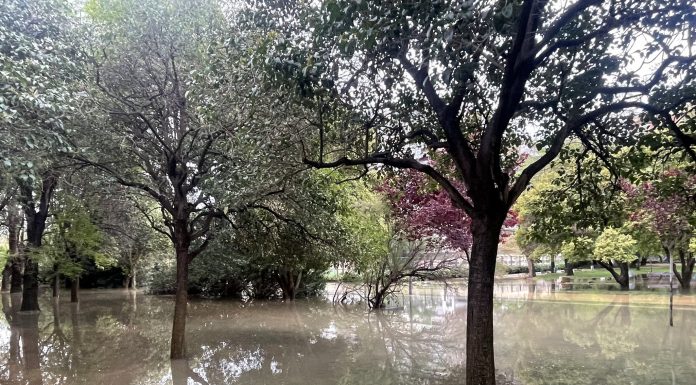 La Policía Local de Valencia pide a los ciudadanos que salgan del viejo cauce del Turia