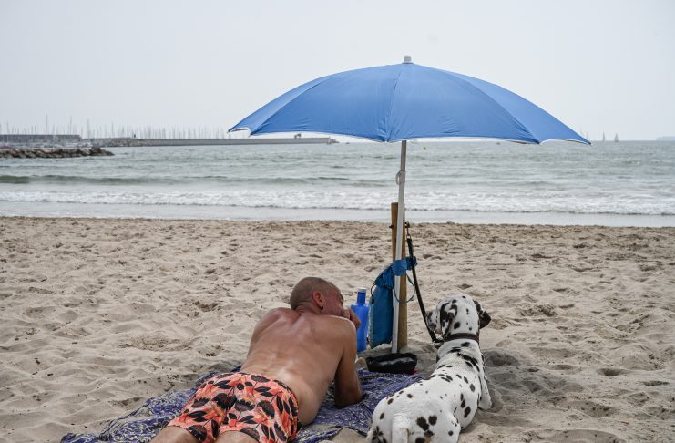 La playa canina de Valencia reabre el baño para mascotas: horario y normas