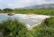 Descubre la cala de piedra que se esconde en la Comunitat Valenciana