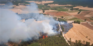 El fuego llega a Valencia con un incendio forestal a Requena