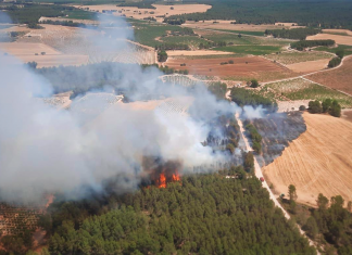 El fuego llega a Valencia con un incendio forestal a Requena