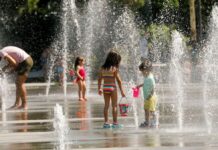 Valencia se abrasa con cerca de 45 grados: así evoluciona la ola de calor más fuerte del verano Aviso rojo en la Comunitat Valenciana por temperaturas extremas