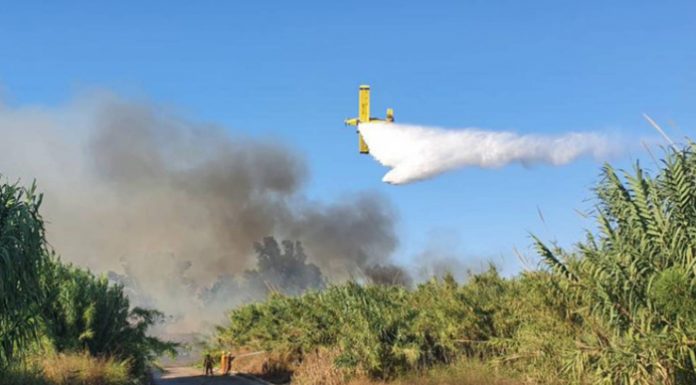 Un crowfunding buscará recuperar tierras valencianas calcinadas por el incendio de Bejís