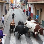 Un toro mata a un hombre en los 'bous al carrer' de la Pobla de Farnals