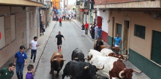 Un toro mata a un hombre en los 'bous al carrer' de la Pobla de Farnals
