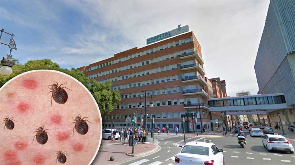 Una plaga de chinches obliga a cerrar habitaciones del Hospital Clínico