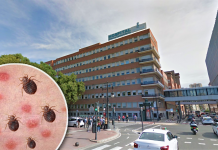 Una plaga de chinches en el Hospital Clínico obliga a cerrar habitaciones