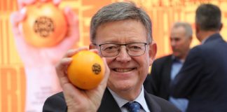 Nace una marca para identificar las naranjas valencianas