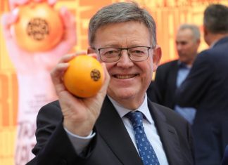 Nace una marca para identificar las naranjas valencianas