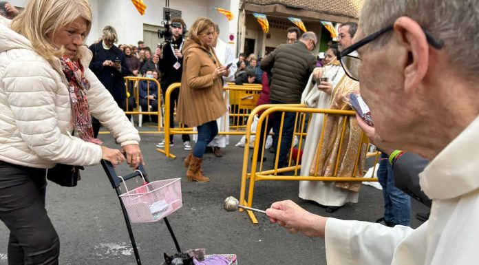 Valencia celebra la bendición de los animales: programa de actos de Sant Antoni del Porquet GALERÍA | Iguanas, ratas o peces: los animales más curiosos que desfilan en la bendición de Sant Antoni Abad