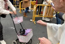 Valencia celebra Sant Antoni: desfile y horario de la bendición de animales GALERÍA | Iguanas, ratas o peces: los animales más curiosos que desfilan en la bendición de Sant Antoni Abad