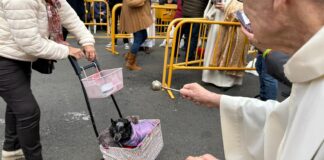 GALERÍA | Iguanas, ratas o peces: los animales más curiosos que desfilan en la bendición de Sant Antoni Abad