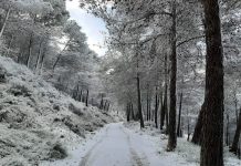 VÍDEOS | Así se vive la ola polar con nieve y temperaturas bajo cero en el interior