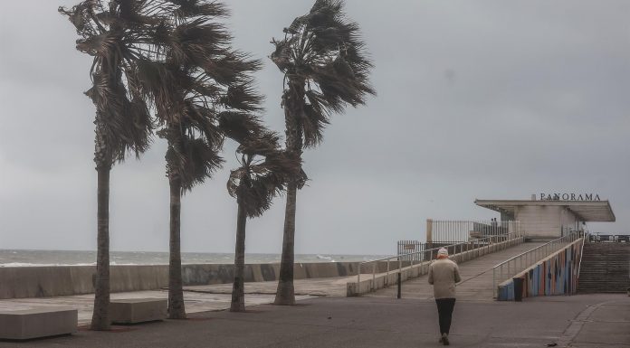 El viento alcanza los 129 km/h en Valencia y provoca daños en la ciudad