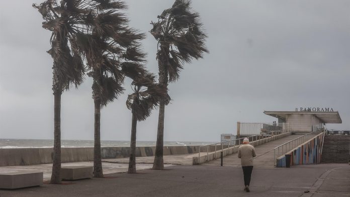 El viento alcanza los 129 km/h en Valencia y provoca daños en la ciudad