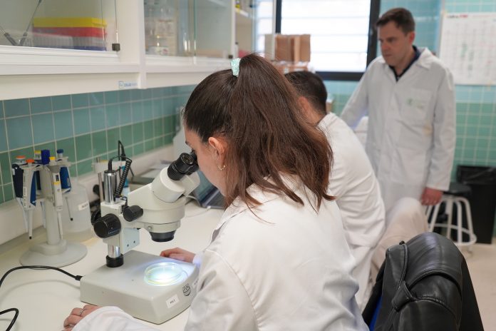 Crean un pintalabios valenciano que impide propagar el coronavirus