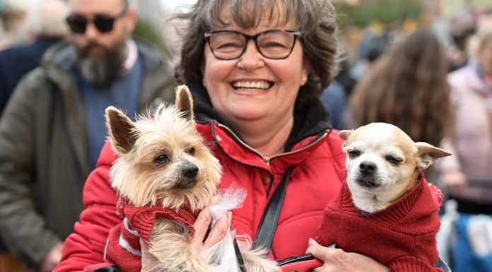 Así ha vivido Valencia la bendición de animales de Sant Antoni Abad