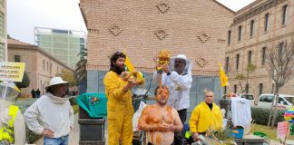 Una protesta de apicultores toma las calles de Valencia y termina en un baño de miel