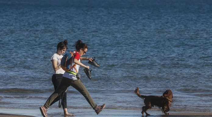 Valencia se prepara para un fin de semana veraniego con temperaturas «extraordinariamente altas» Un viento de poniente subirá las temperaturas en Valencia