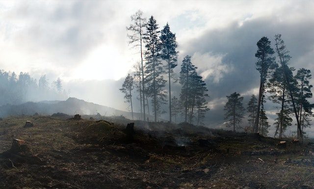 Vídeo: Devastadoras imágenes aéreas de la zona arrasada por el incendio de Castellón