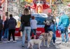 Un nuevo horario fallero permitirá pasear a los perros sin petardos en la calle