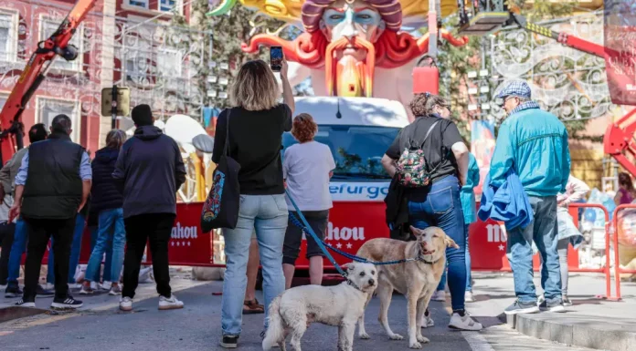 Ansiedad, taquicardia e incluso muerte: así afecta la pólvora a los animales Un nuevo horario fallero permitirá pasear a los perros sin petardos en la calle