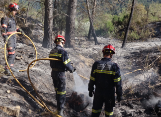 Extinguido el incendio forestal de Villanueva de Viver tras 20 días en llamas