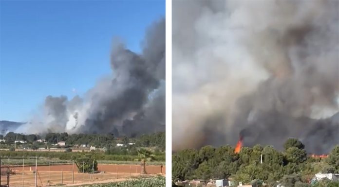 Vídeo: Un incendio forestal en Barx vuelve a amenazar el monte valenciano