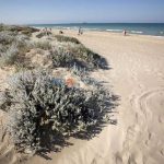 Una playa de Valencia cerrará parcialmente a mediados de agosto