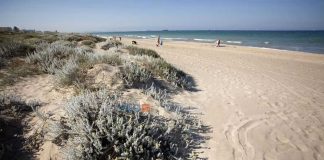 Las playas valencianas estarán en obras en pleno verano para solucionar la erosión del litoral