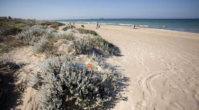 Las playas valencianas estarán en obras en pleno verano para solucionar la erosión del litoral Una playa de Valencia cerrará parcialmente a mediados de agosto