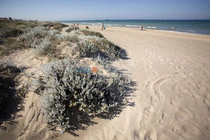 Una playa de Valencia cerrará parcialmente a mediados de agosto