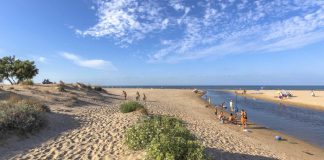 La playa de les Deveses está en obras para revertir la erosión de su litoral