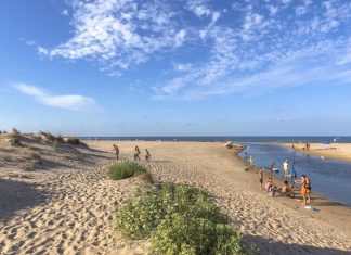 La playa de les Deveses está en obras para revertir la erosión de su litoral