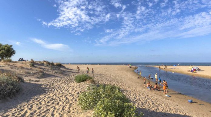 La playa de les Deveses está en obras para revertir la erosión de su litoral