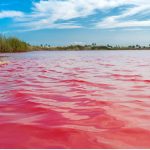 El tono rosado de las aguas se debe a un pigmento que posee cualidades anticáncer